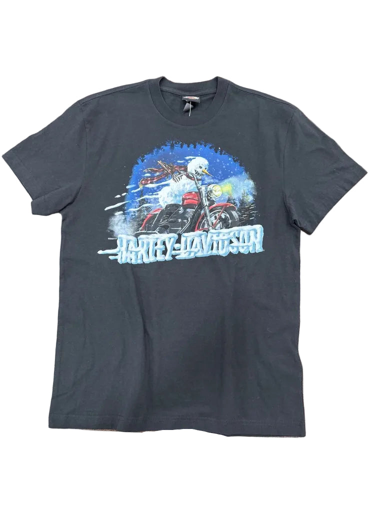 Harley-Davidson Men's Frosty Ride T-Shirt, Black