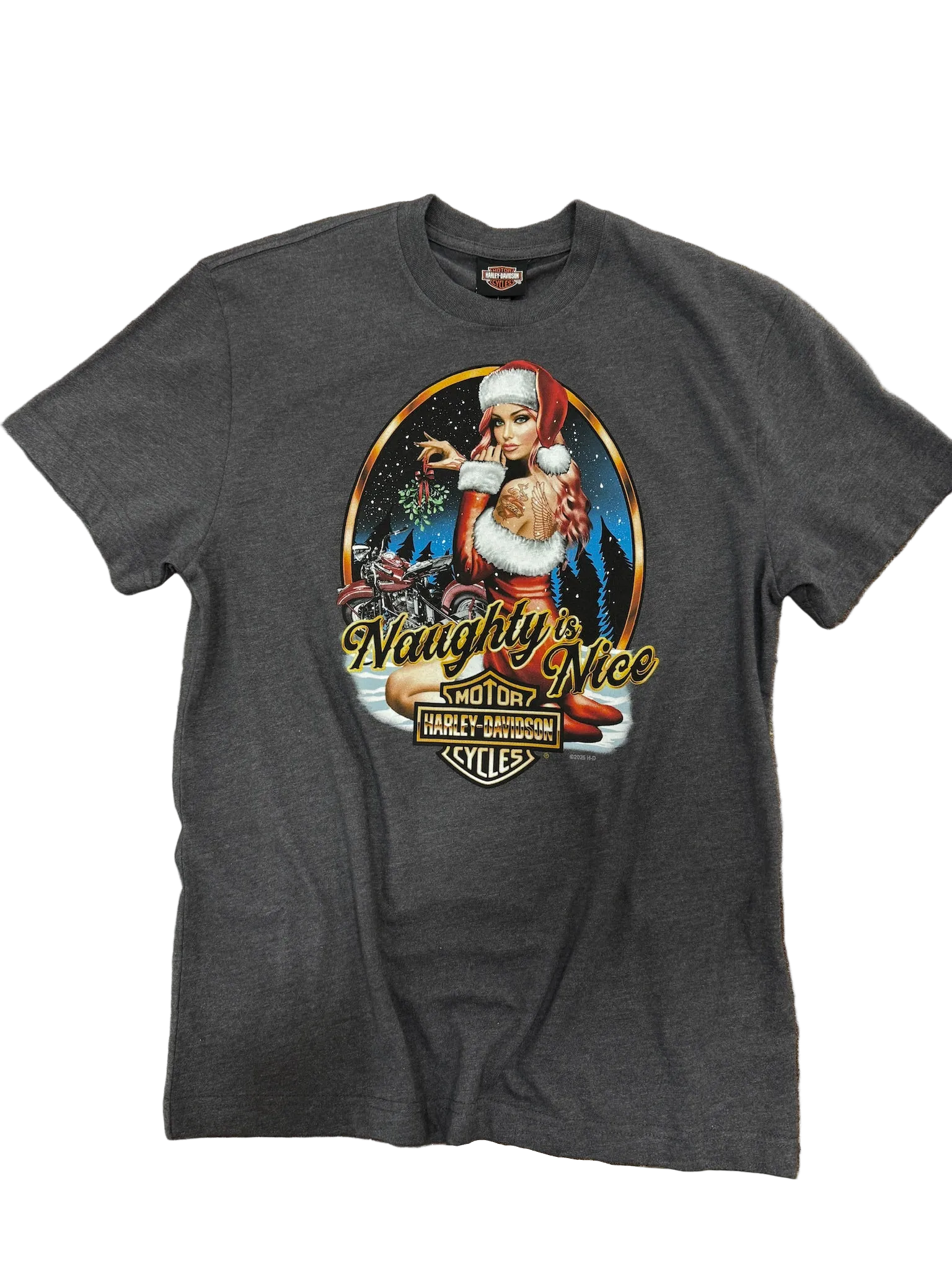 Harley-Davidson Naughty is Nice T-Shirt, Mens