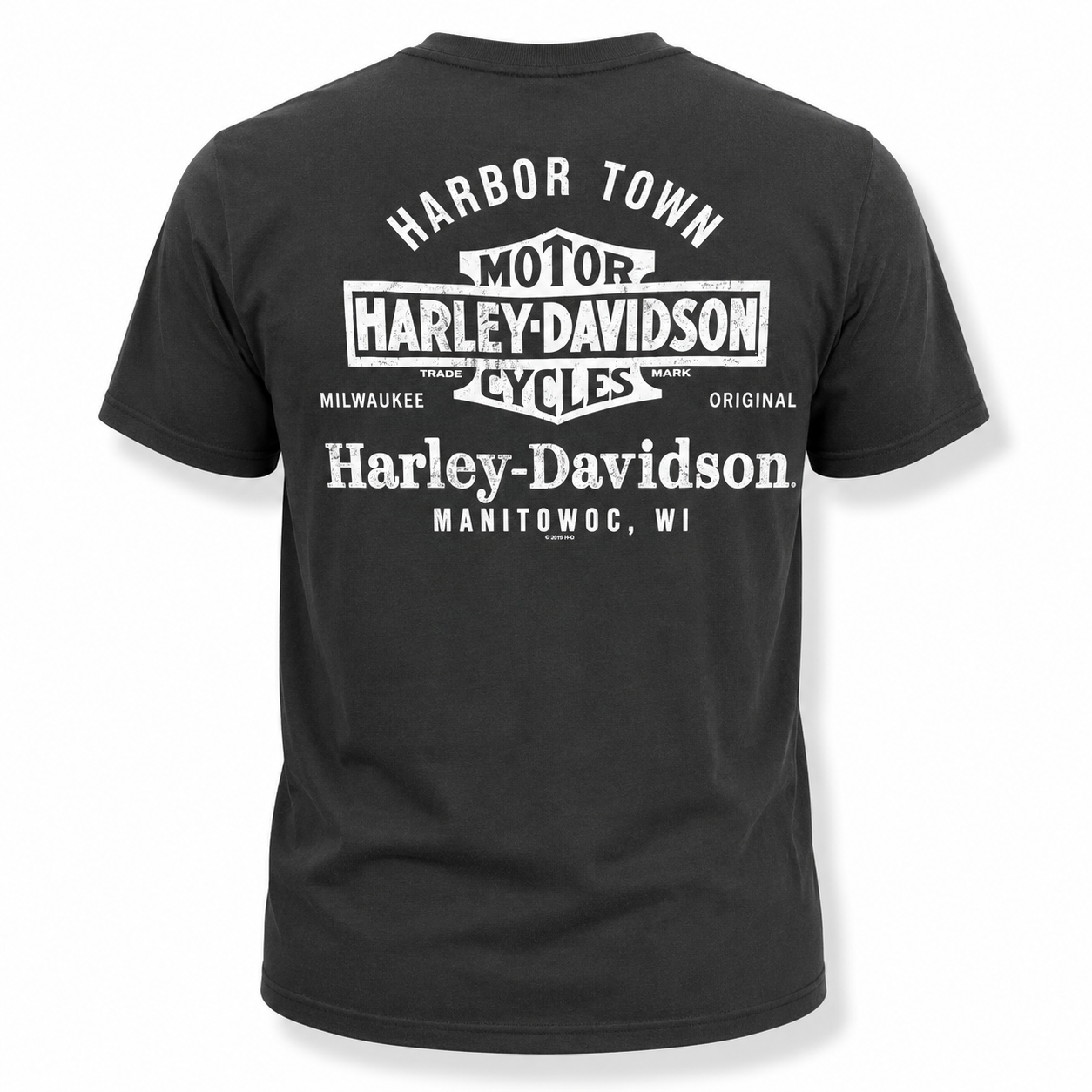 Harley-Davidson Men's Black Graphic T-Shirt – Skull Rider 100% Cotton Motorcycle Tee