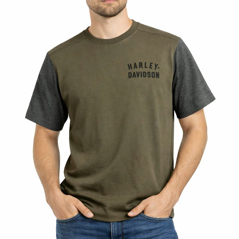 Harley-Davidson Men's Staple Colorblock Tee - Colorblocked, Green - 96045-23VM