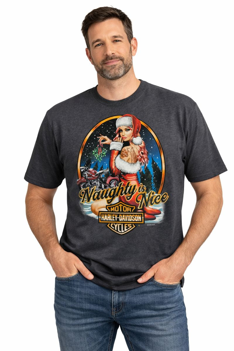 Harley-Davidson Men's Naughty is Nice Short Sleeve T-Shirt, Gray