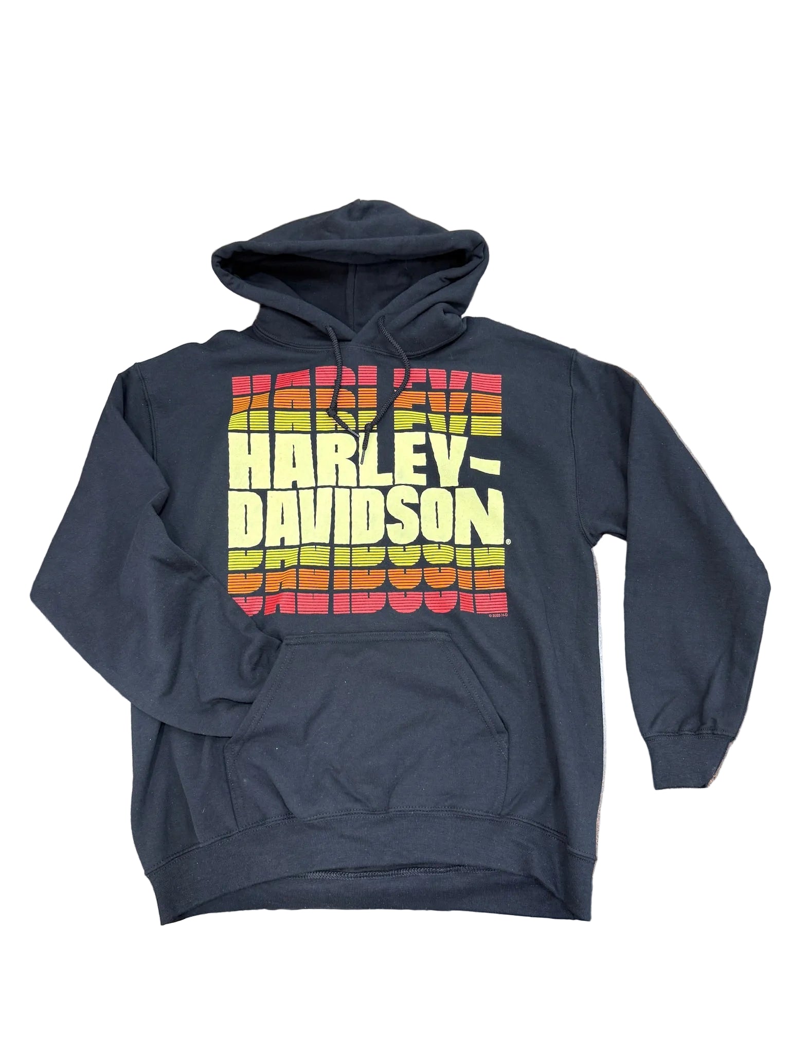Harley-Davidson Men's Vintage Style Retro Hoodie, Black