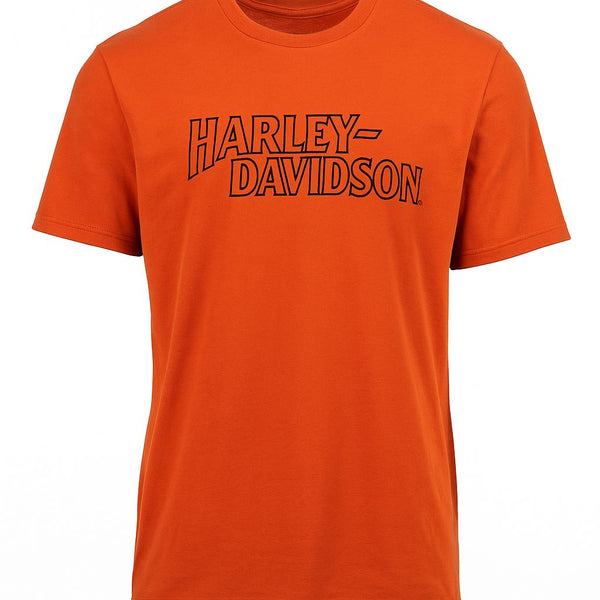 Harley Davidson Tシャツ　フレーム　CSC Harley Davidson TシャツフレームCSC