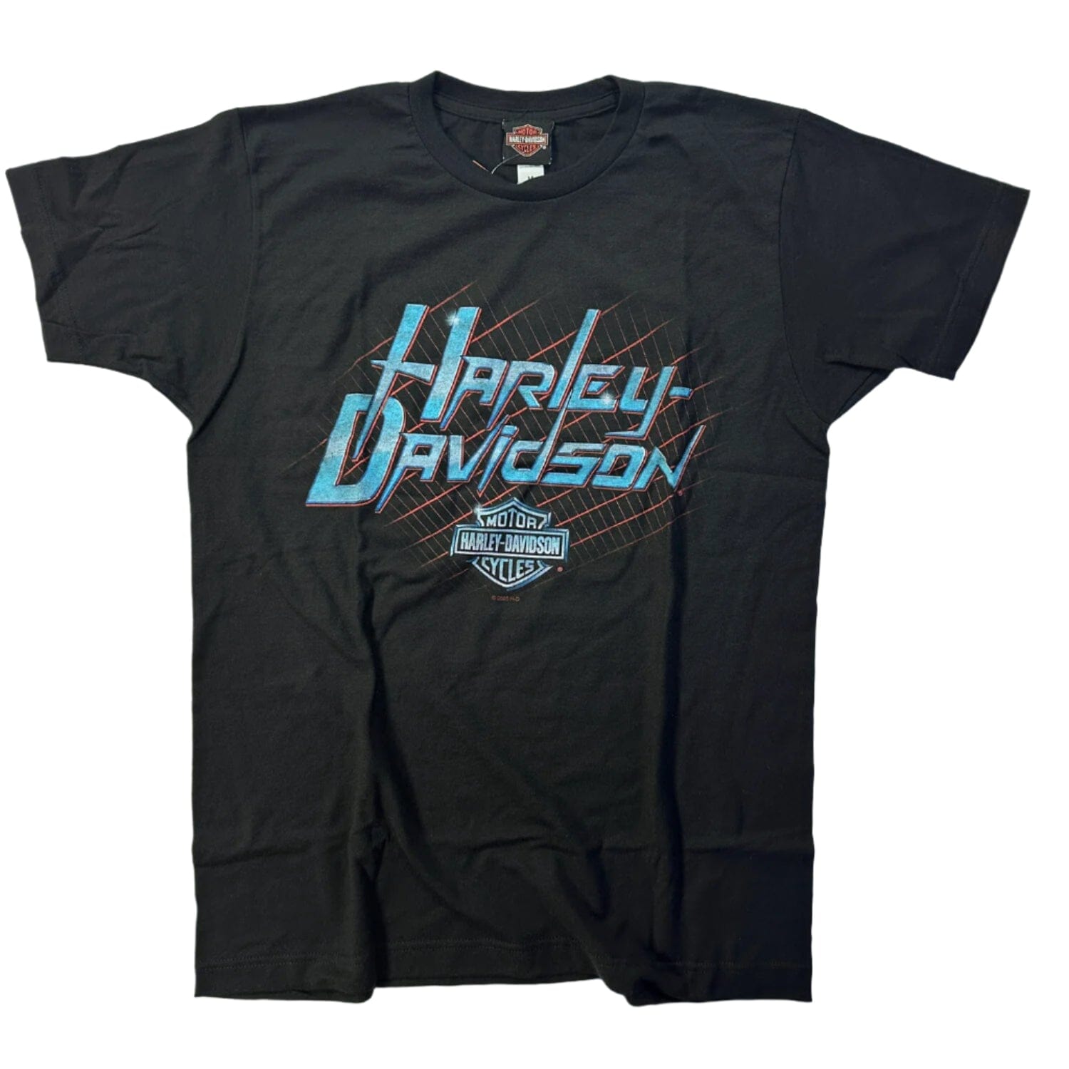 Harley-Davidson Stoked Men's Short Sleeve T-Shirt, HTHD Anniversary Back - 40291784
