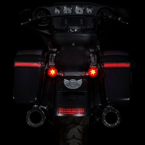 custom-dynamics-probeam-solid-