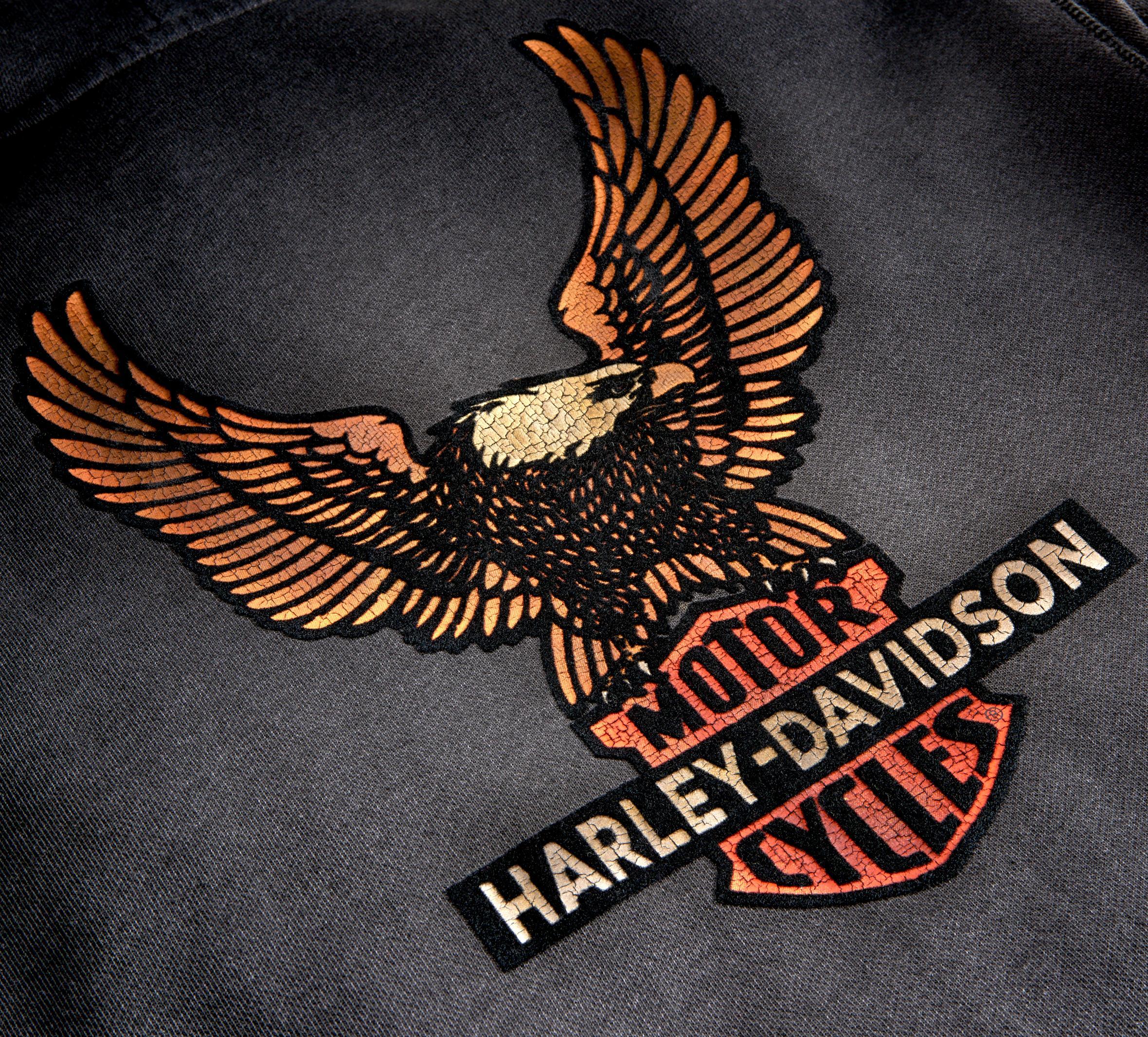 Harley-Davidson Men's Vintage Eagle Hoodie - 99099-20VM