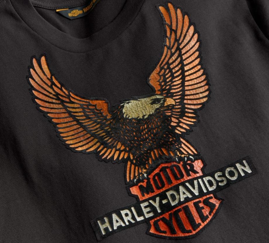 Harley-Davidson Men's Vintage Eagle Long Sleeve Tee - Slim Fit, 99098-20VH