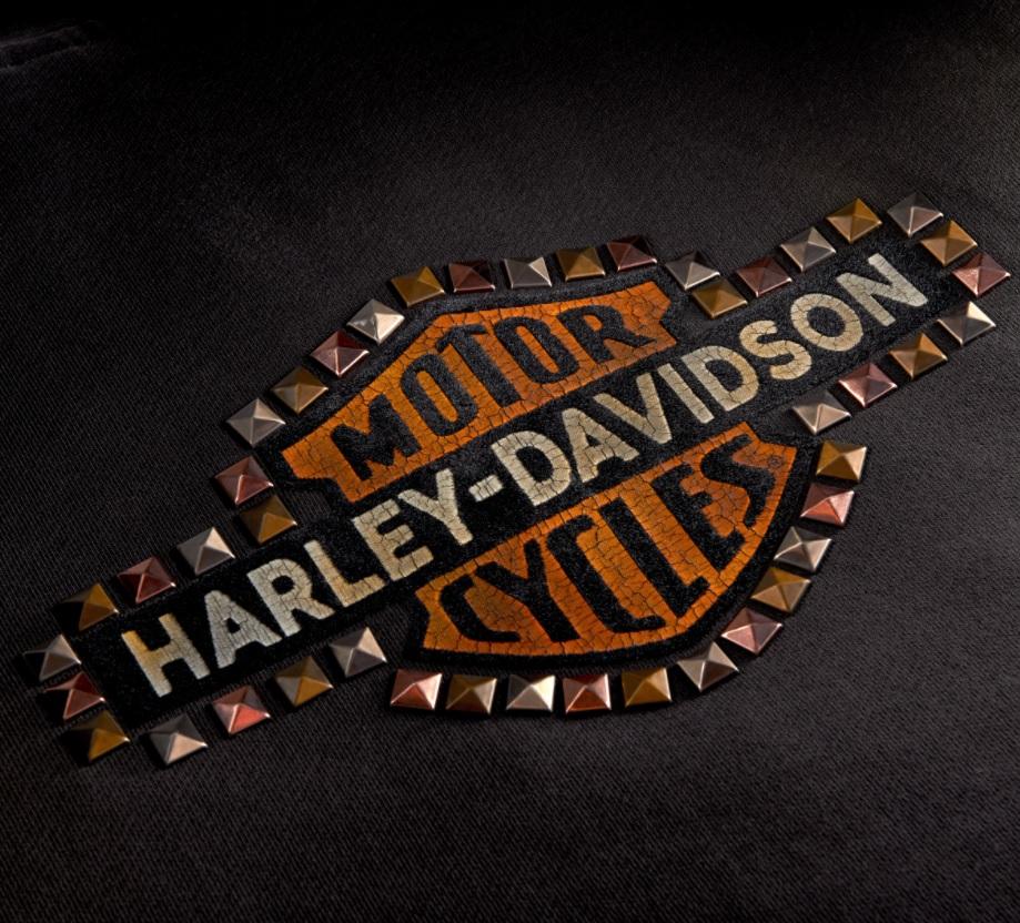 Harley-Davidson Women's Studded Vintage Logo Hoodie, 99129-20VW